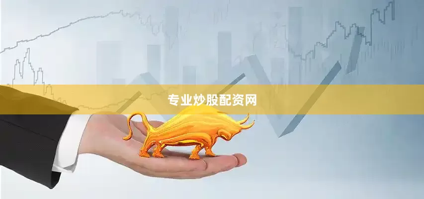专业炒股配资网