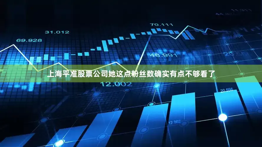 上海平准股票公司她这点粉丝数确实有点不够看了