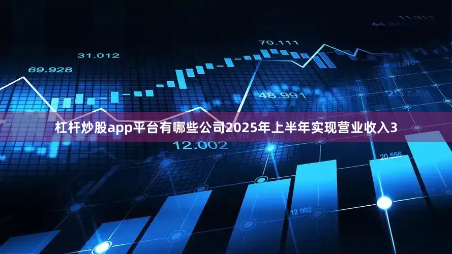 杠杆炒股app平台有哪些公司2025年上半年实现营业收入3
