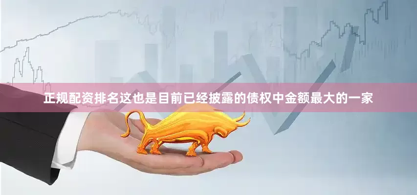 正规配资排名这也是目前已经披露的债权中金额最大的一家